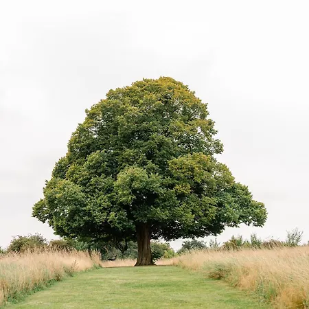 La Ferme D'auwez - Arbre De Vie - 4 Pers Avec Sauna Et Piscine Partages Hébergement de vacances
