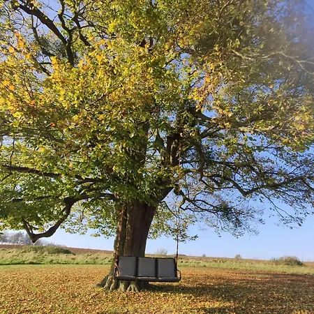 Tatil Evi La Ferme D'auwez - Arbre De Vie - 4 Pers Avec Sauna Et Piscine Partages