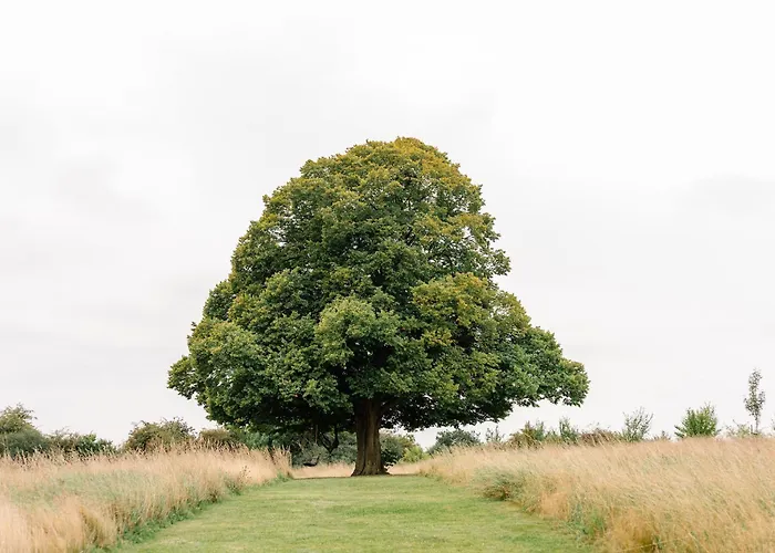 La Ferme D'auwez - Arbre De Vie - 4 Pers Avec Sauna Et Piscine Partagés Casa vacanze