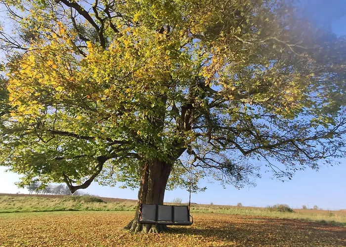 Hébergement de vacances La Ferme D'auwez - Arbre De Vie - 4 Pers Avec Sauna Et Piscine Partagés