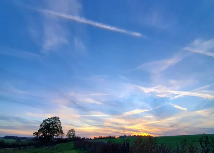 La Ferme D'auwez - Arbre De Vie - 4 Pers Avec Sauna Et Piscine Partagés * Ciney